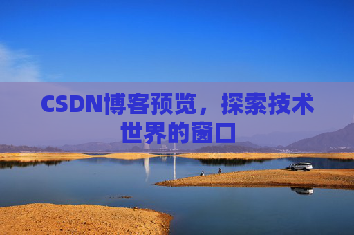 CSDN博客预览,探索技术世界的窗口